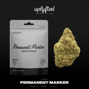 BUY  PERMANENT MARKER II