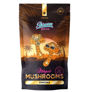 Enigma Magic Mushrooms