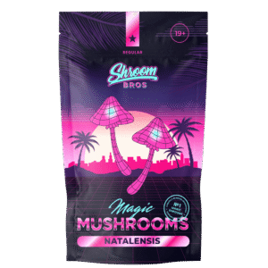 Natalensis Magic Mushroom