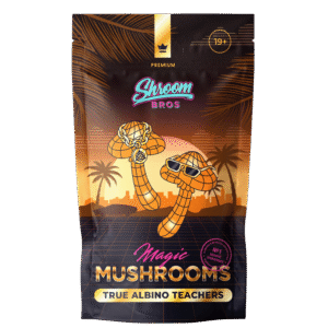 True Albino Teachers Magic Mushroom